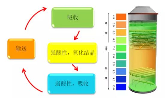 探访联投东湖高新集团旗下国内首台百万千瓦“三塔合一”间冷机组开云体育 kaiyun.com 官网入口(图6)