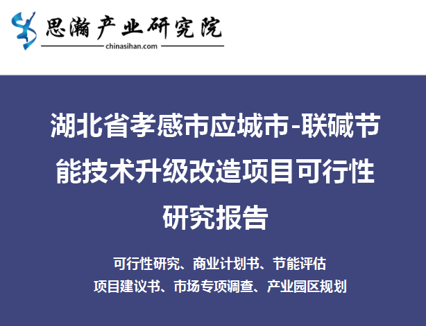 开云体育 开云平台湖北省孝感市应城市-联碱节能技术升级改造项目可行性研究报告