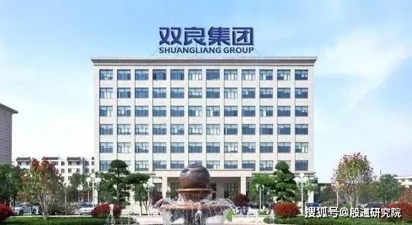 行业Kaiyun 开云领先的溴冷机、空冷器、换热器制造商—双良节能