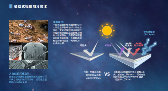 Kaiyun 开云创冷科技无电制冷涂层：高效能源与环保的完美融合