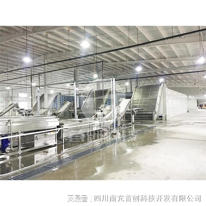购买自动化玉竹烘干设备是提高品质和附加值的必要Kaiyun 开云体育工具