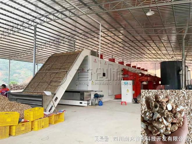 购买自动化玉竹烘干设备是提高品质和附加值的必要Kaiyun 开云体育工具(图3)
