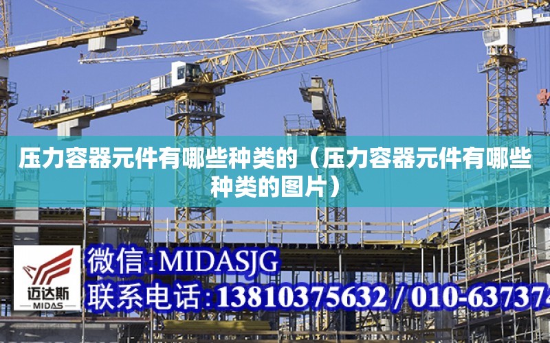 压力容器元件有哪些种类的（压力容器元件有哪些种类的图片）Kaiyun 开云(图1)