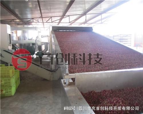 全自动玫瑰花烘干机——为玫瑰产业注入新的活力Kaiyun 开云体育(图2)