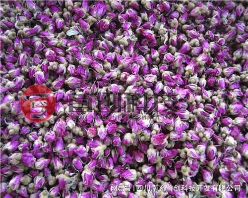 全自动玫瑰花烘干机——为玫瑰产业注入新的活力Kaiyun 开云体育(图3)