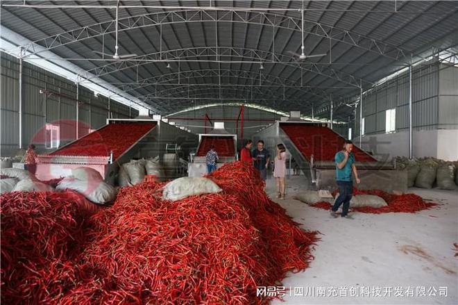 多层带式工业辣椒干燥机：高效、节能、适用开云体育 Kaiyun.com 官网入口性高