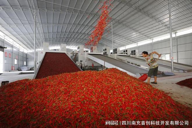 多层带式工业辣椒干燥机：高效、节能、适用开云体育 Kaiyun.com 官网入口性高(图2)