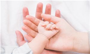 开云 开云体育平台2024锅炉行业发展前景报告：推动锅炉绿色低碳高质量发展(图2)