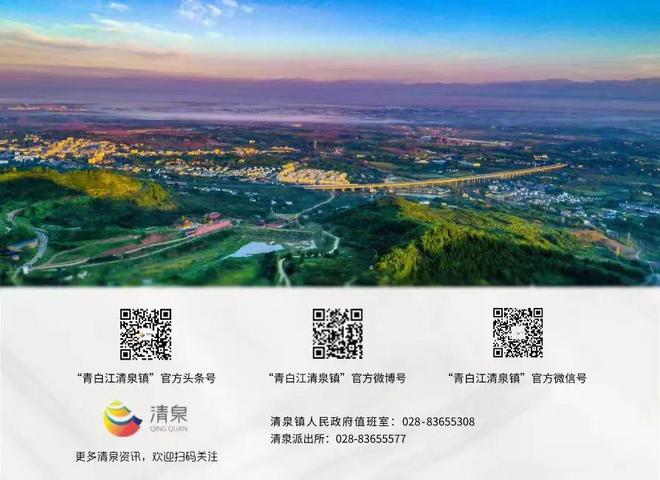 找工作速看！青白江及周边最新招聘信息来了开云体育 开云平台(图2)