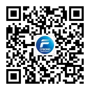 Kaiyun 开云体育雪人股份股价大涨516%