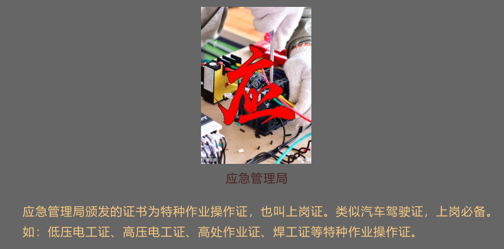 开云APP 开云官网入口全国特种作业人员操作证信息查询系统-应急管理局网站(图2)