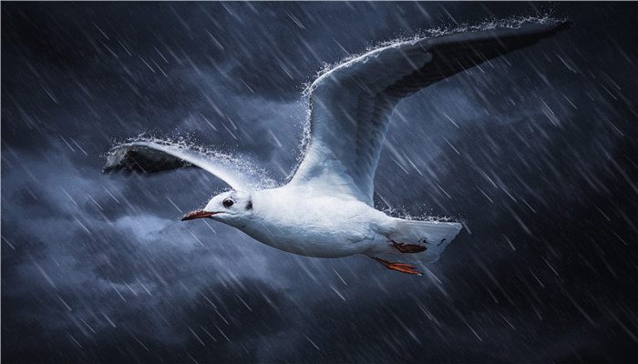 大雨暴雨大暴雨的标准 大雨大的划Kaiyun 开云体育分标准(图3)