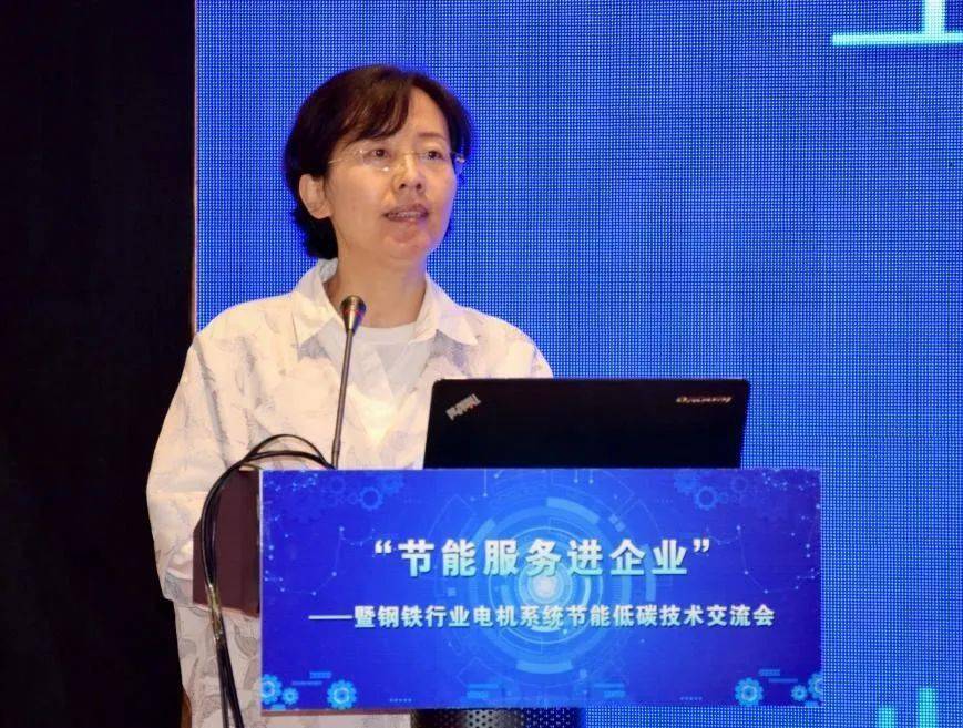 开云 开云体育平台“节能服务进企业”——暨钢铁行业电机系统节能低碳技术交流会在河北武安顺利召开(图5)