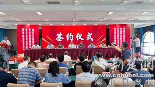 全省粮食开云体育 Kaiyun.com 官网入口烘干能力提升推进行动暨技术培训活动在荆门东宝举行(图2)